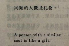 “同频的人像是礼物”