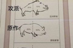 男子汉大屁股