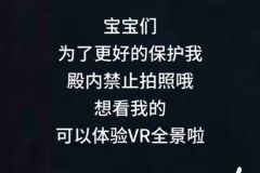 禁止拍照