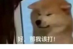 这几个月别轻易离职……