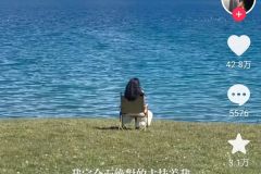 没人想看刘亦菲在《玫瑰的故事》里谈恋爱