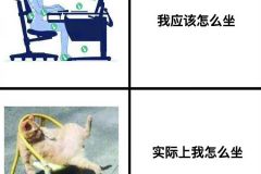我为什么腰疼 ​ ​​​