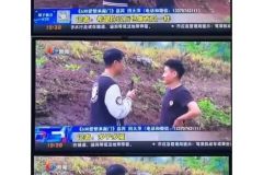 无籽西瓜 ​​​