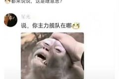 这图啥意思？