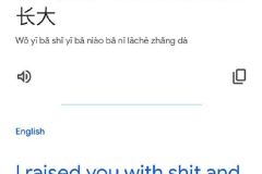 有网友分别让Google翻译和ChatGPT翻译“我一把屎一把尿的把你拉扯大”成英文