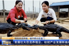 致富经：恐龙养殖，助力村民增收