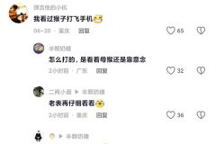 脑子里长得是什么不用我说了