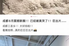 这辈子活着就为了出片