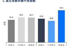 养老金基尼系数接近60...