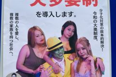 日本东京市长竞选海报：解决少子化的根本之道，请为一夫多妻制投票！ ​​​