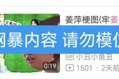 有这个劲头拿来折腾贪官污吏不法商贩不好吗！