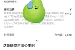 有的人还没坐过飞机，而公主的裙子已经坐过了