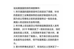 正是在下