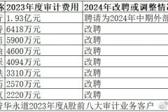 普华永道丢失前8大客户